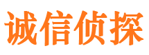 鸠江侦探公司